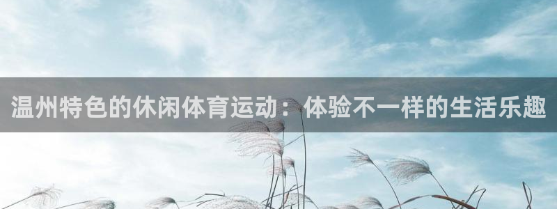 bsport必一运动：温州特色的休闲体育运动：体验不一样的生活乐趣