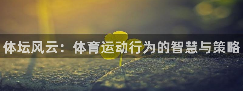 必一运动体育官网：体坛风云：体育运动行为的智慧与策略