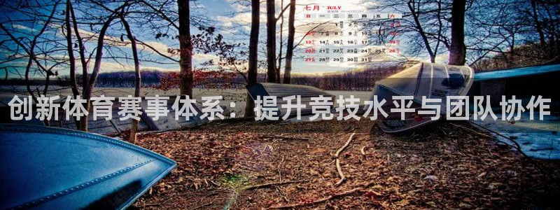必一运动app：创新体育赛事体系：提升竞技水平与团队协作
