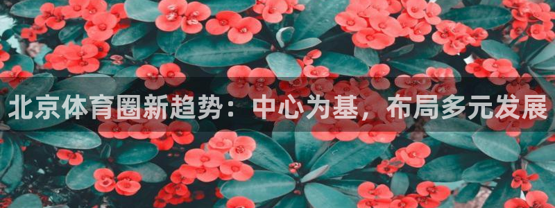 bsports官网 必一运动：北京体育圈新趋势：中心为基，布局多元发展