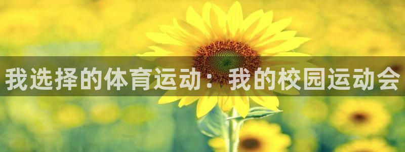 必一运动官网入口：我选择的体育运动：我的校园运动会