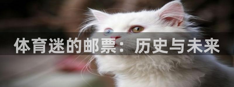 必一运动体育官网：体育迷的邮票：历史与未来