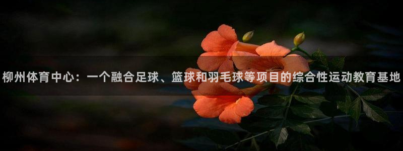 必一运动官网入口：柳州体育中心：一个融合足球、篮球和羽毛球等项目的综合性运动教育基地