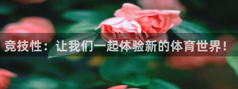bsport必一运动：竞技性：让我们一起体验新的体育世界！