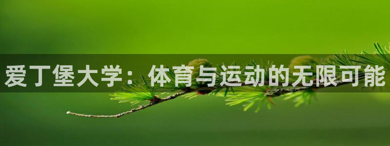 bsport必一运动：爱丁堡大学：体育与运动的无限可能