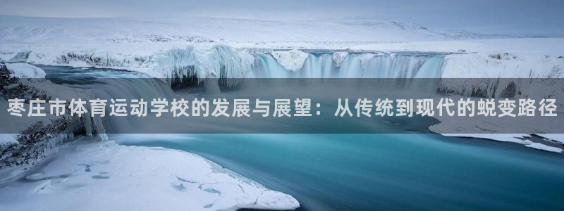 b体育必一运动官网：枣庄市体育运动学校的发展与展望：从传统到现代的蜕变路径