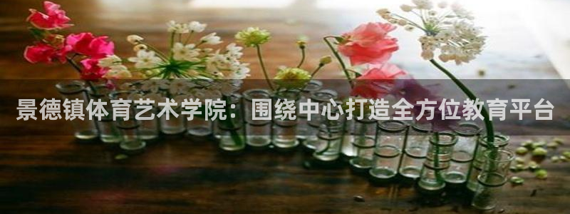 bsports必一运动：景德镇体育艺术学院：围绕中心打造全方位教育平台