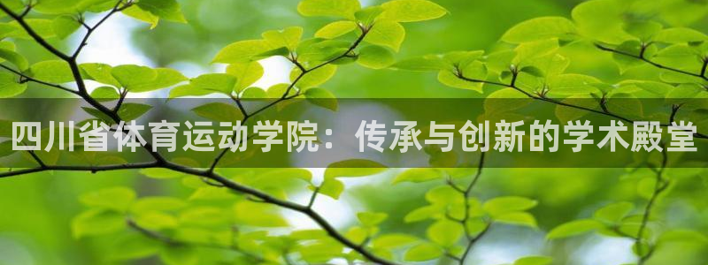 必一运动app：四川省体育运动学院：传承与创新的学术殿堂