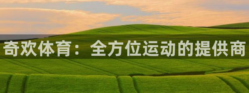 必一运动体育：奇欢体育：全方位运动的提供商