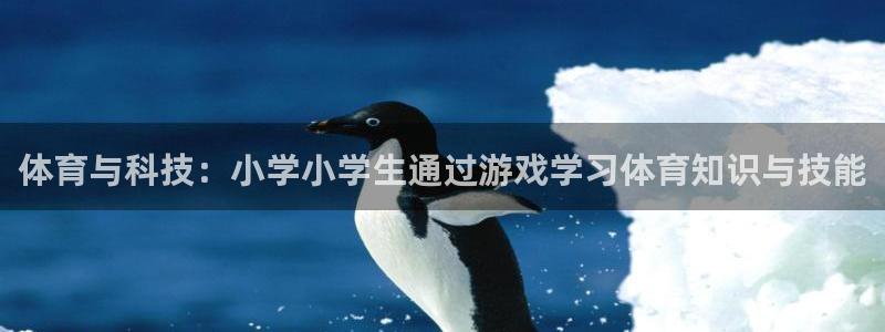 必一运动官网入口：体育与科技：小学小学生通过游戏学习体育知识与技能