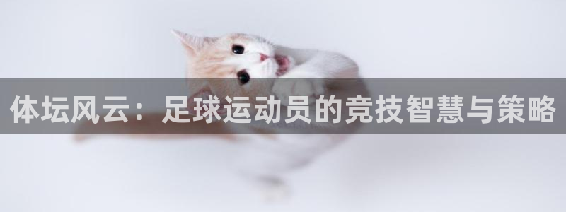 必一运动体育官网：体坛风云：足球运动员的竞技智慧与策略