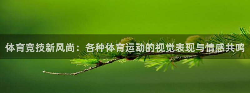 bsports必一运动：体育竞技新风尚：各种体育运动的视觉表现与情感共鸣