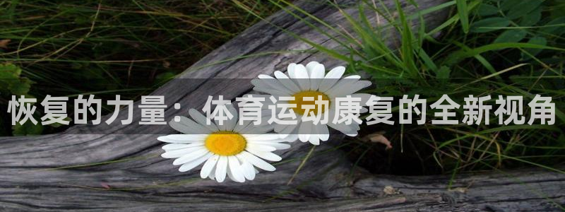b体育必一运动官网：恢复的力量：体育运动康复的全新视角