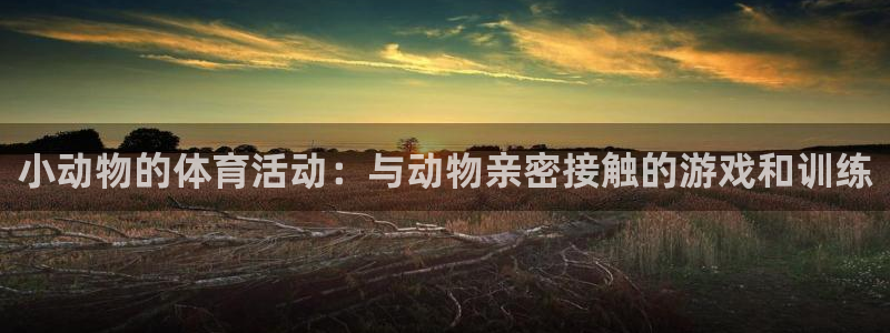 必一运动：小动物的体育活动：与动物亲密接触的游戏和训练