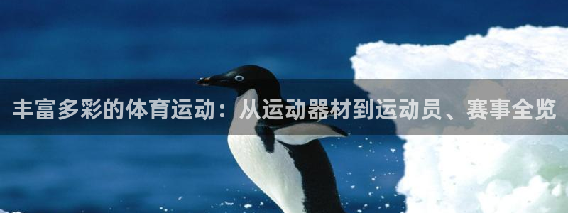 bsports官网 必一运动：丰富多彩的体育运动：从运动器材到运动员、赛事全览